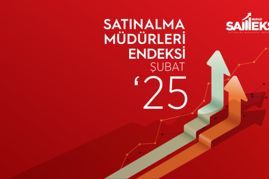 SAMEKS, 2025 Şubat Ayı Verileri Açıklandı